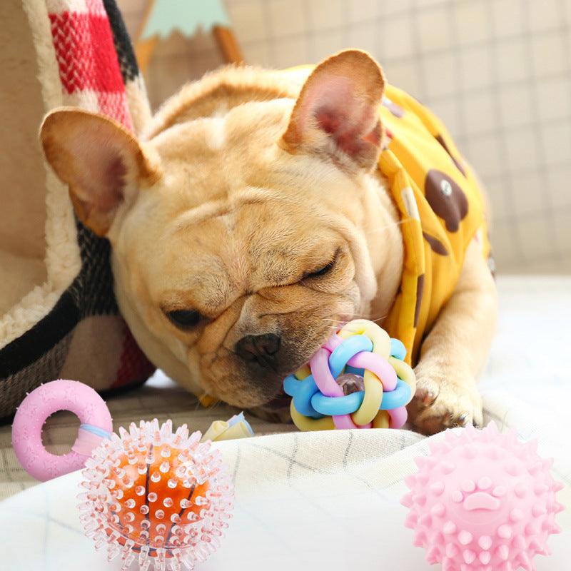 Pet Pawsome Chewable Rubber Dog Training Toy